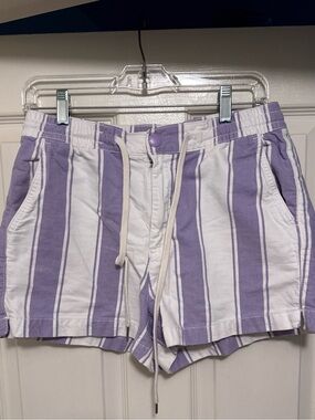 American Eagle Outfitters Lavender and White Striped Drawstring Shorts